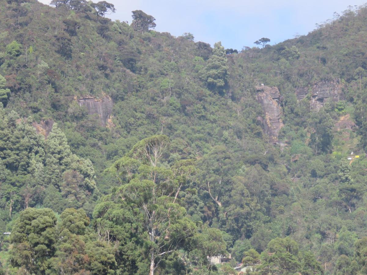 Dream Hill Homestay Nuwara Eliya Exterior foto