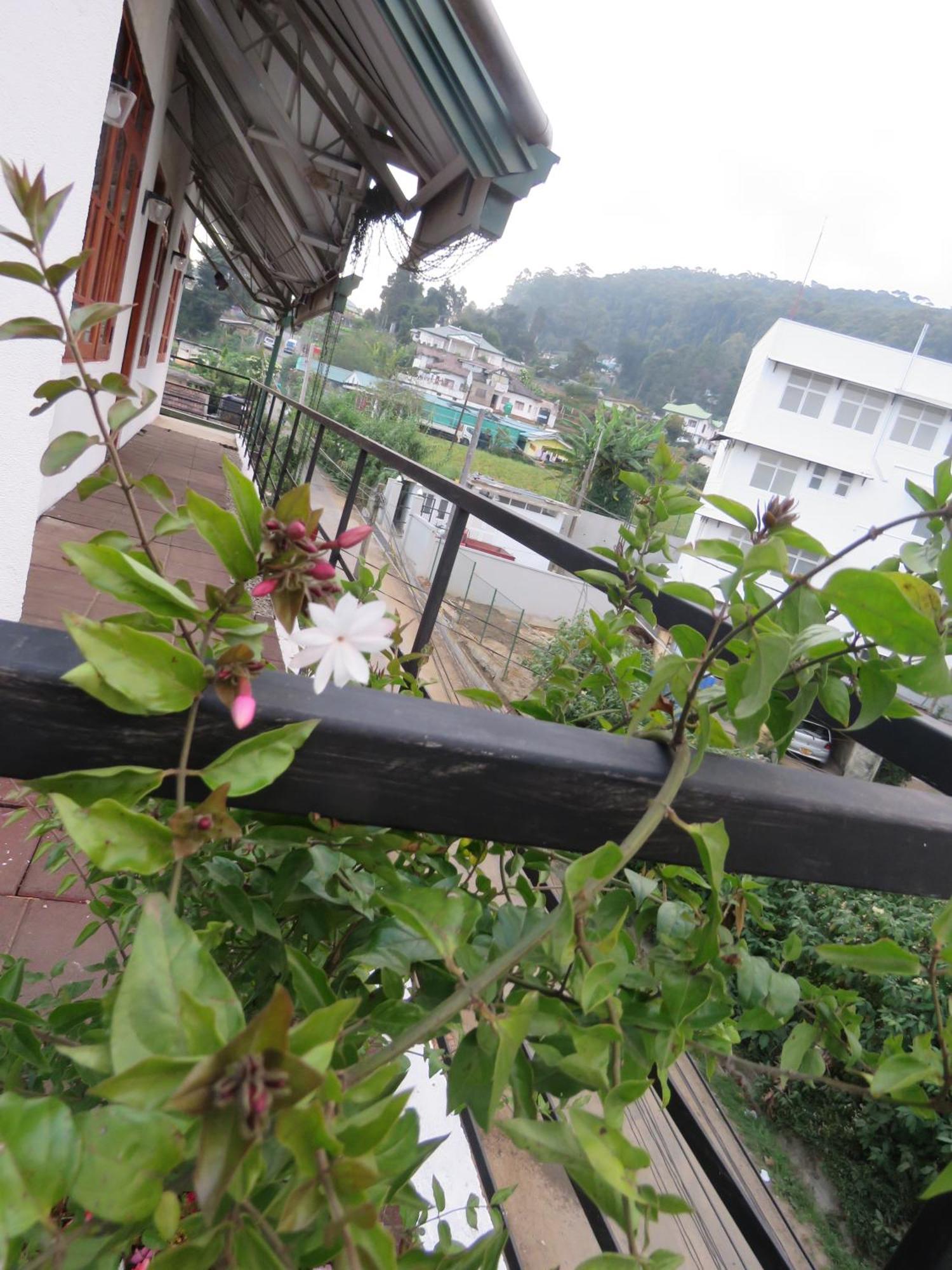 Dream Hill Homestay Nuwara Eliya Exterior foto